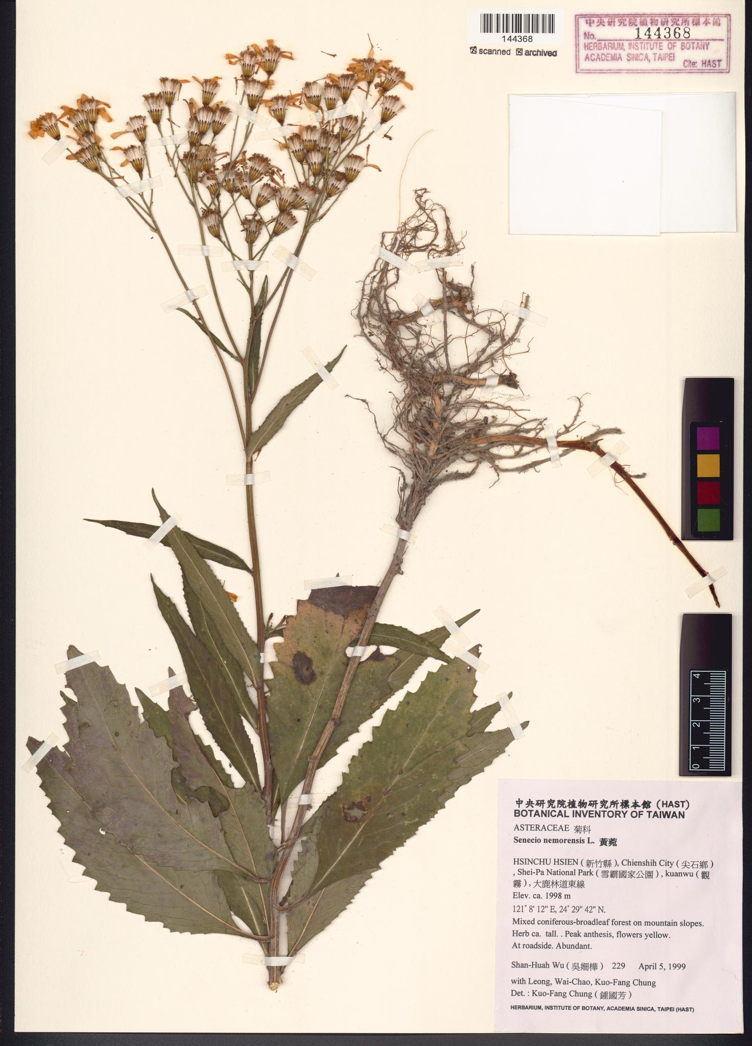 Sample image for viewer