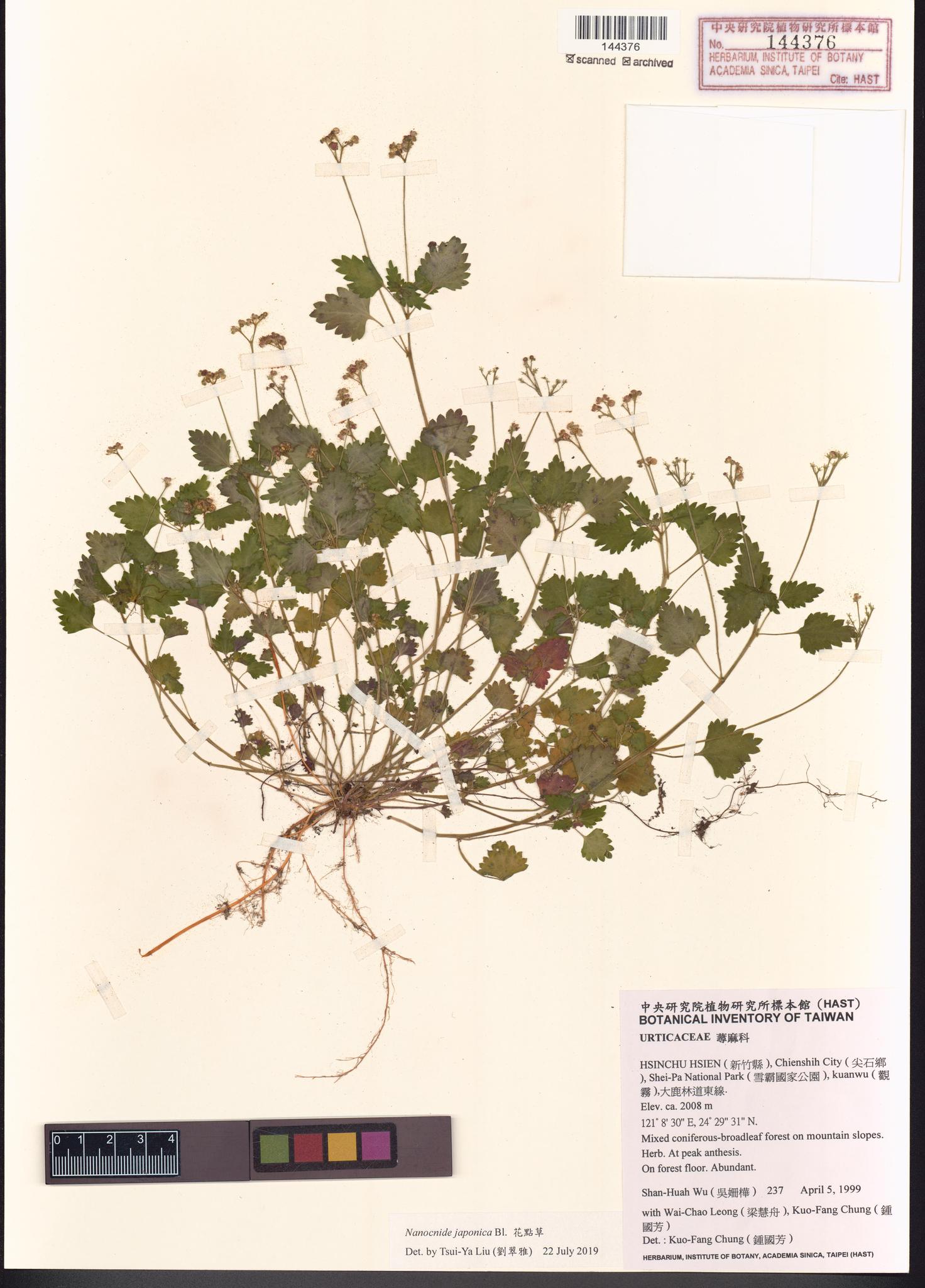 Sample image for viewer