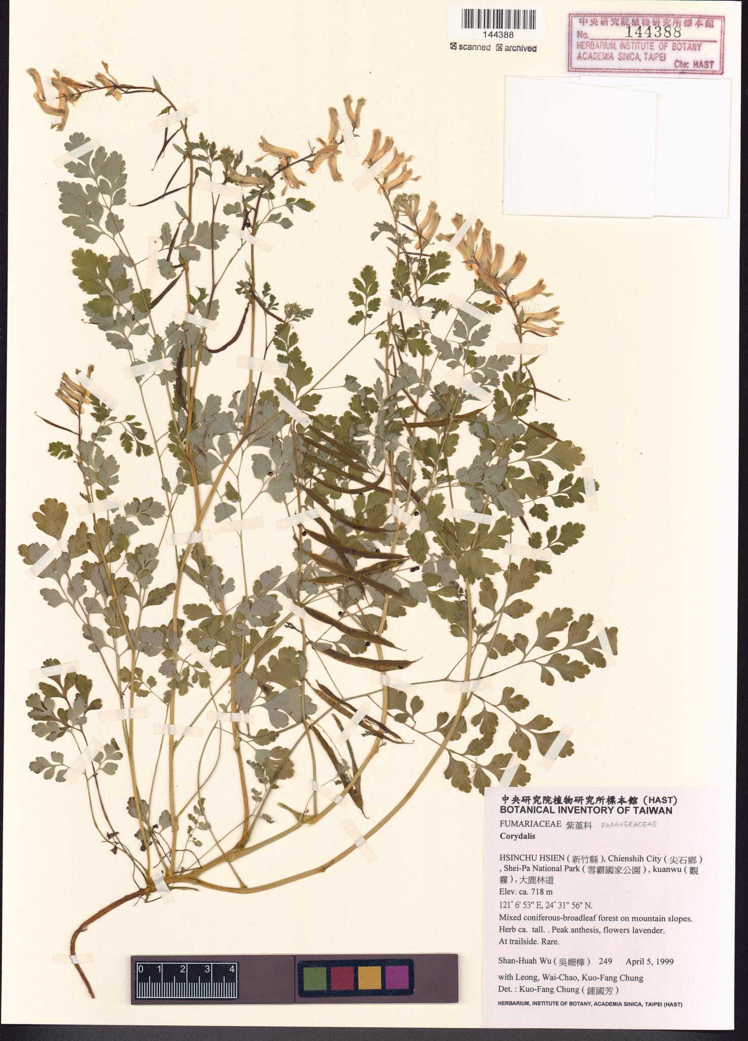 Sample image for viewer