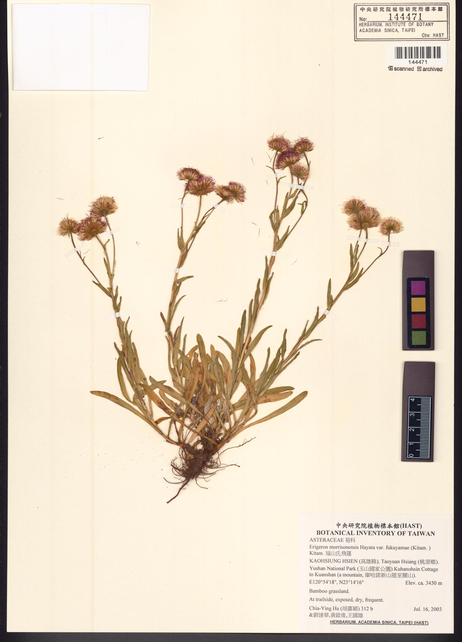 Specimen image