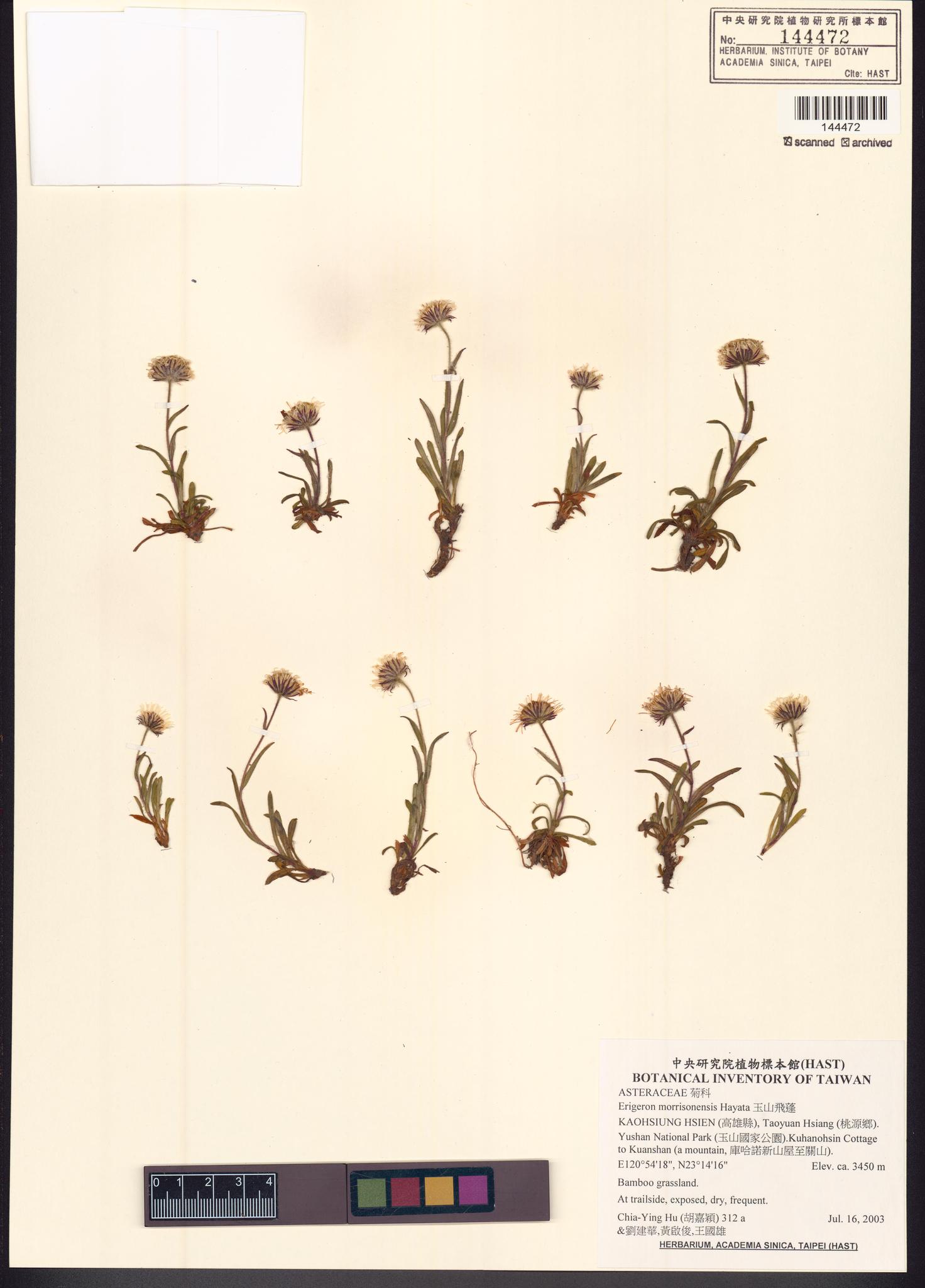 Sample image for viewer