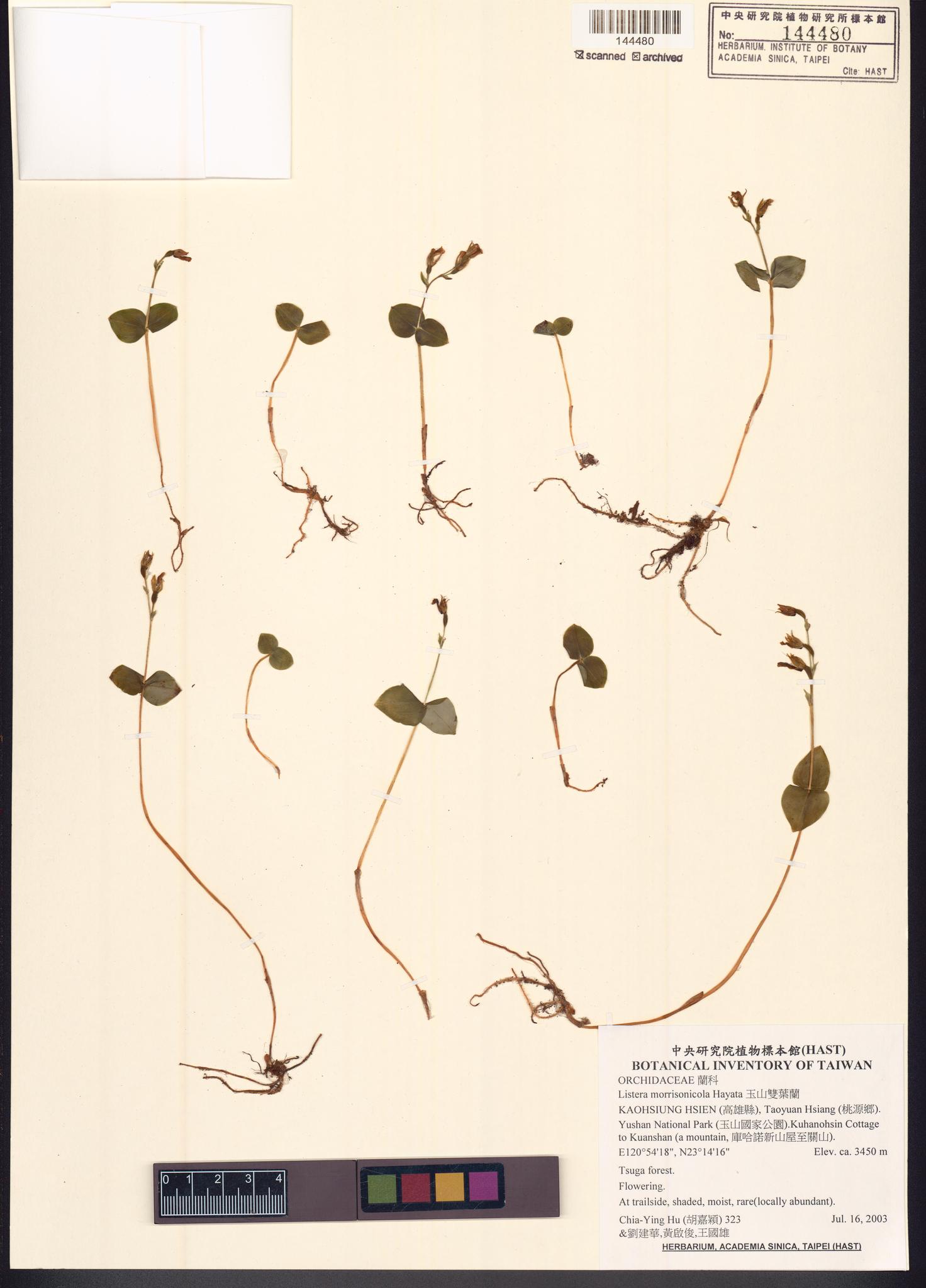 Sample image for viewer