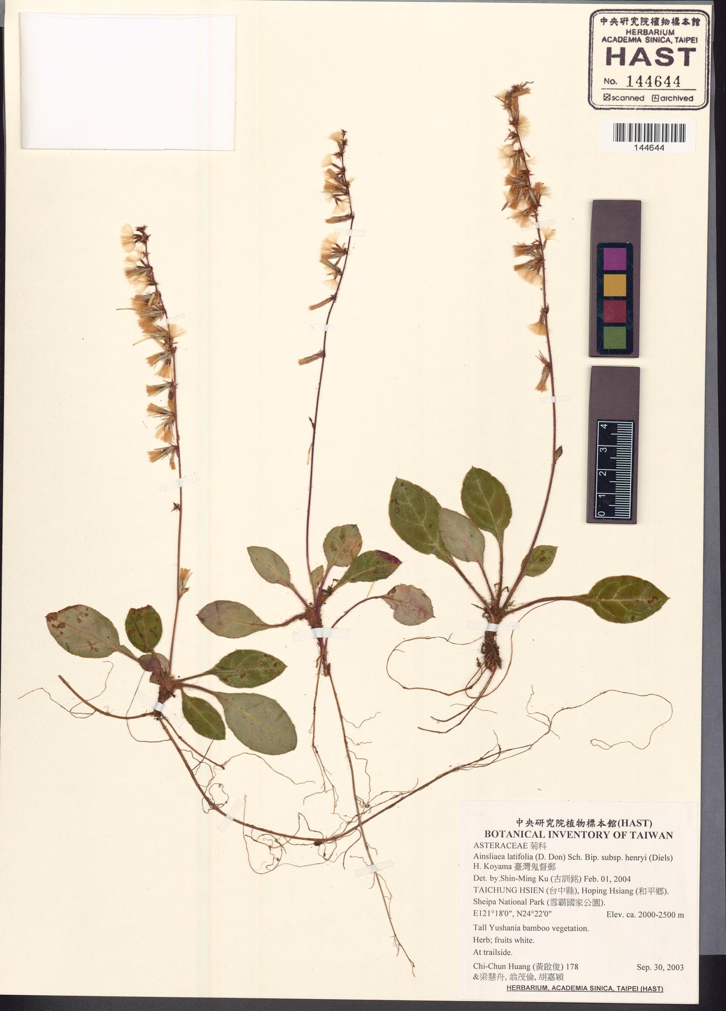 Sample image for viewer