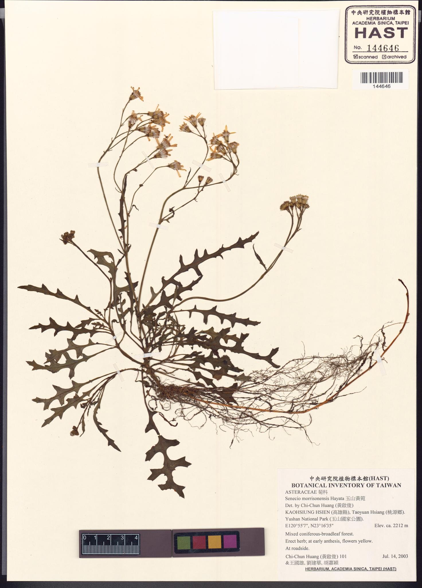 Sample image for viewer