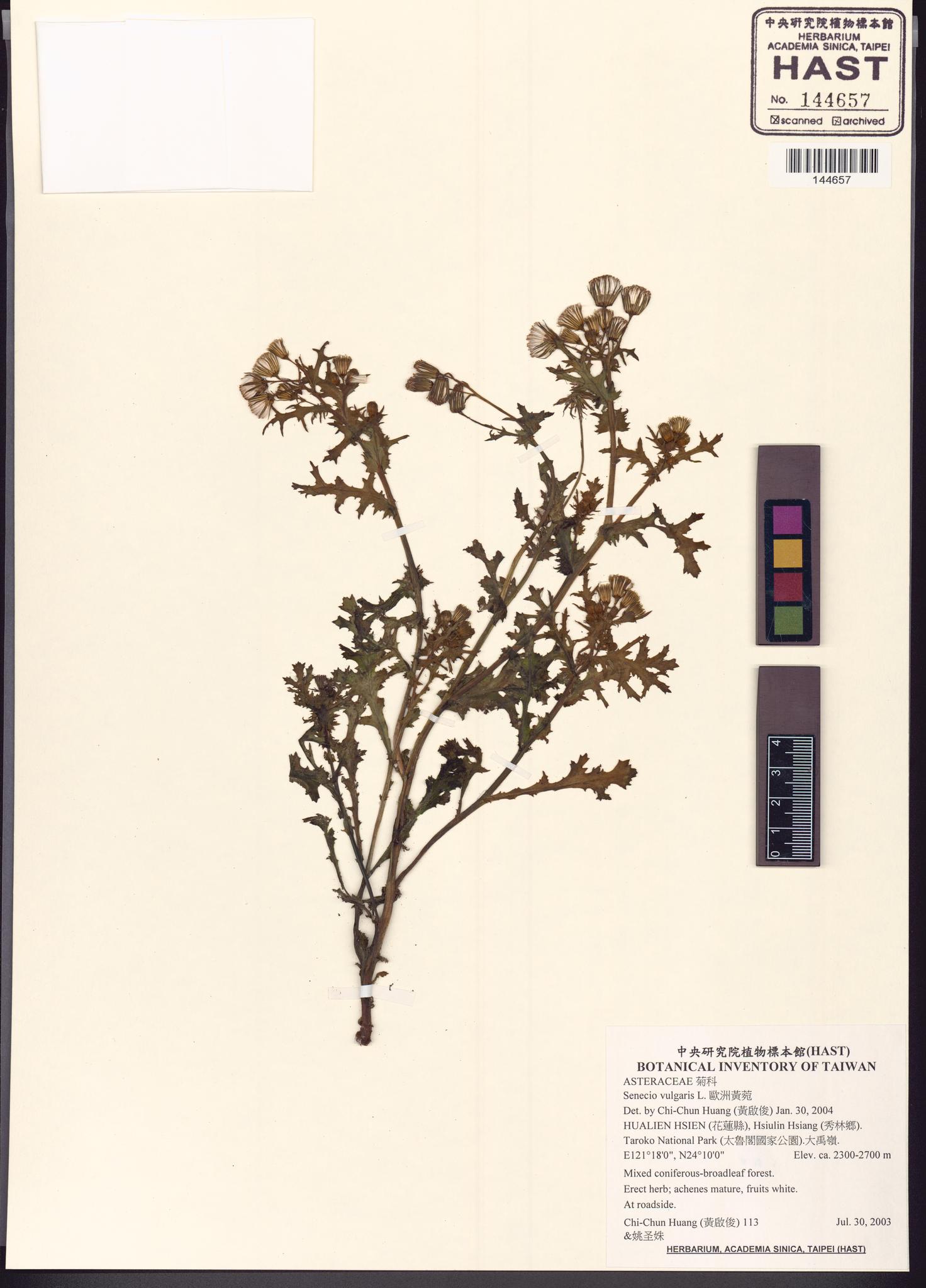 Sample image for viewer