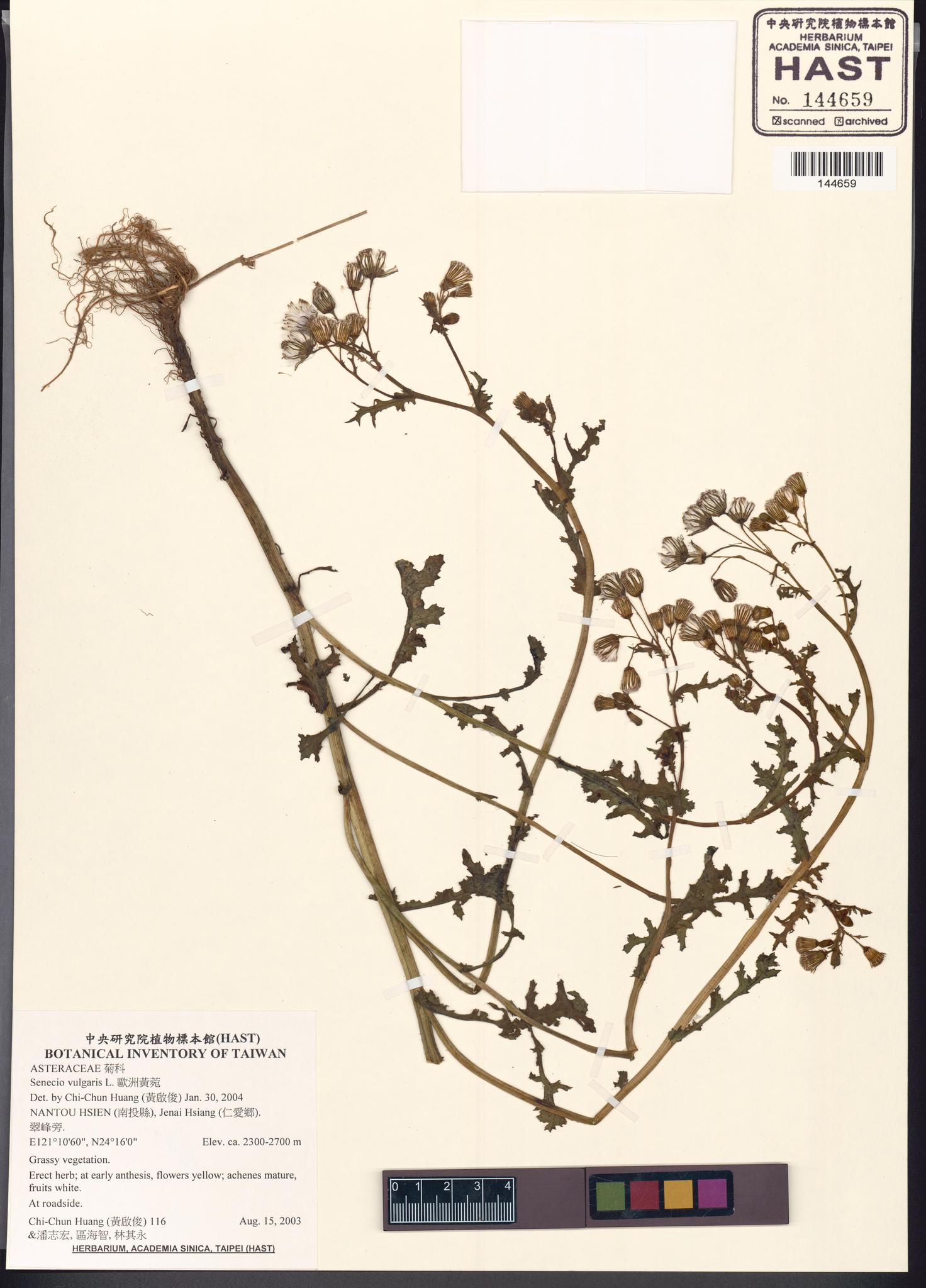 Sample image for viewer