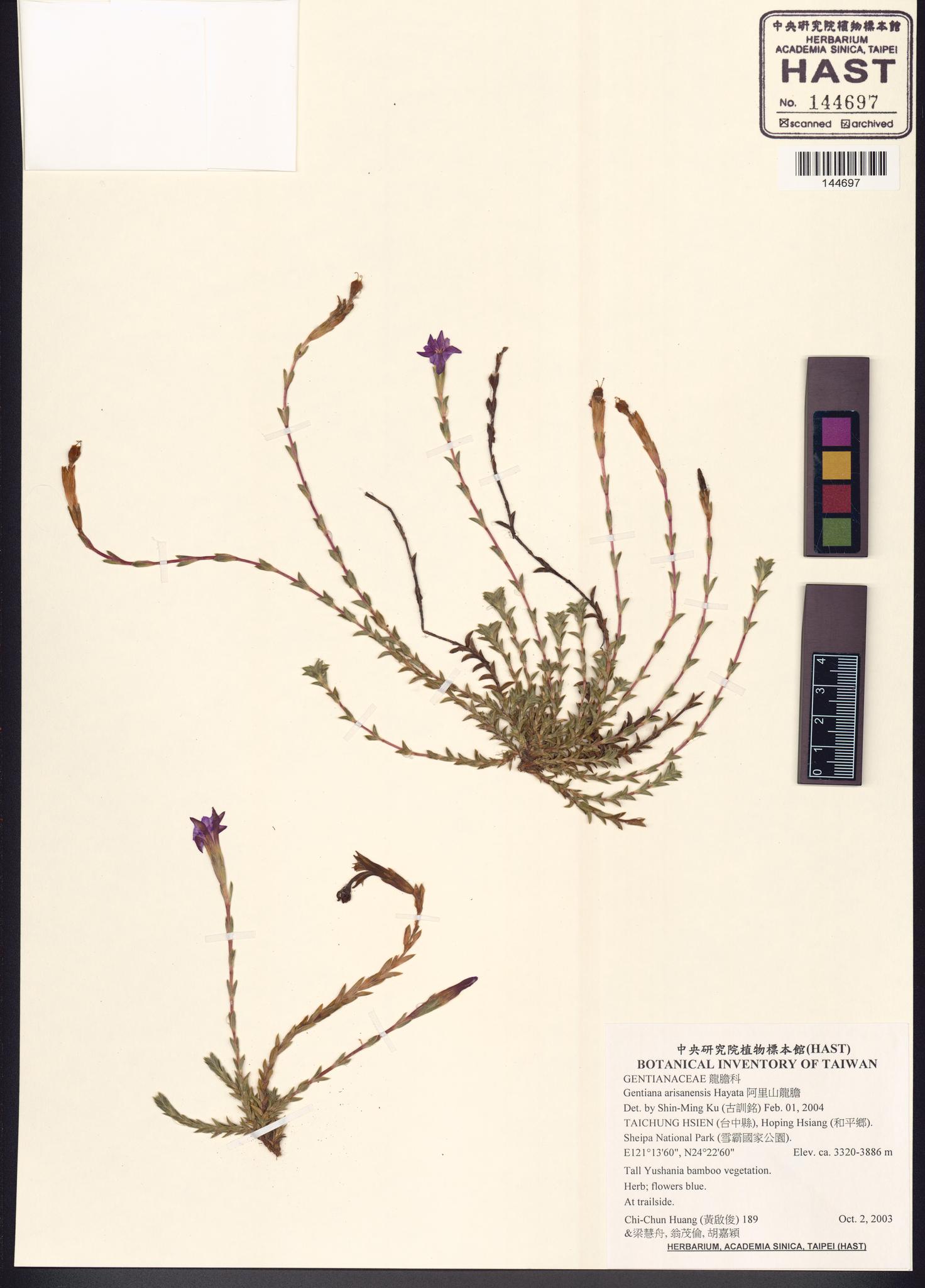 Sample image for viewer