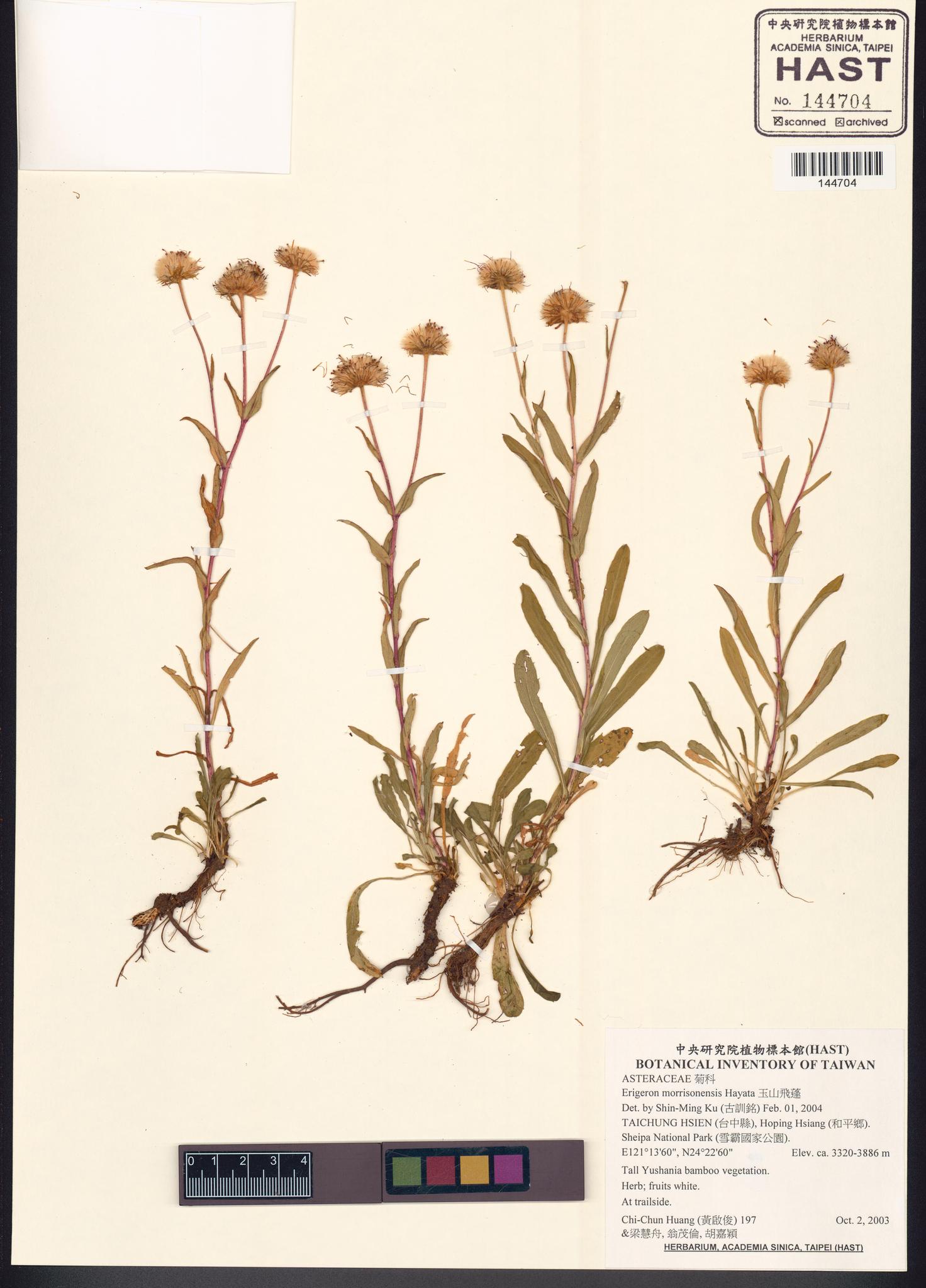 Sample image for viewer