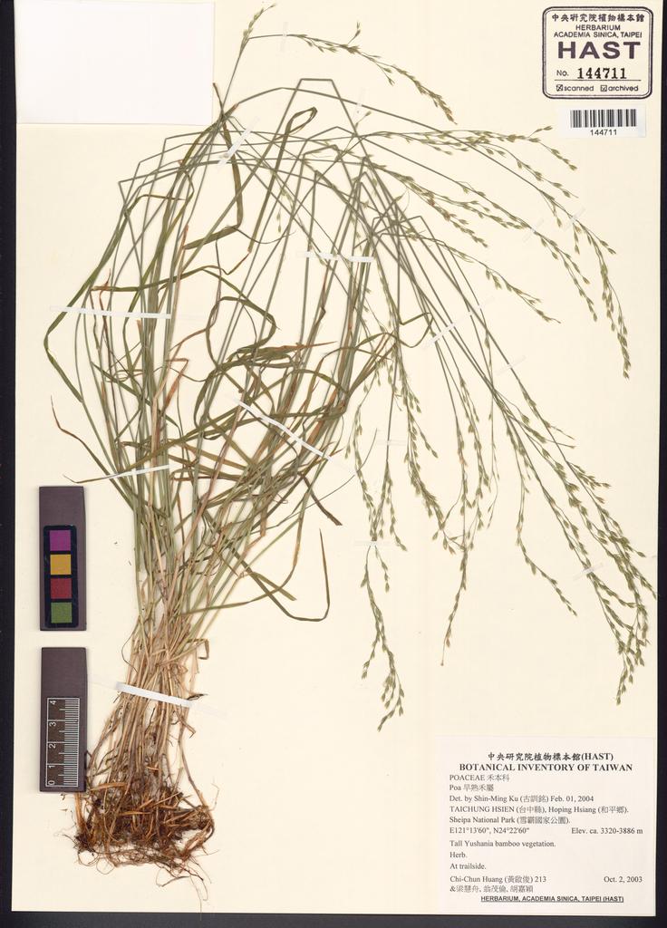 <Unit #50656 Huang, Chi-Chun | 黃啟俊 | 213:: | Poa>