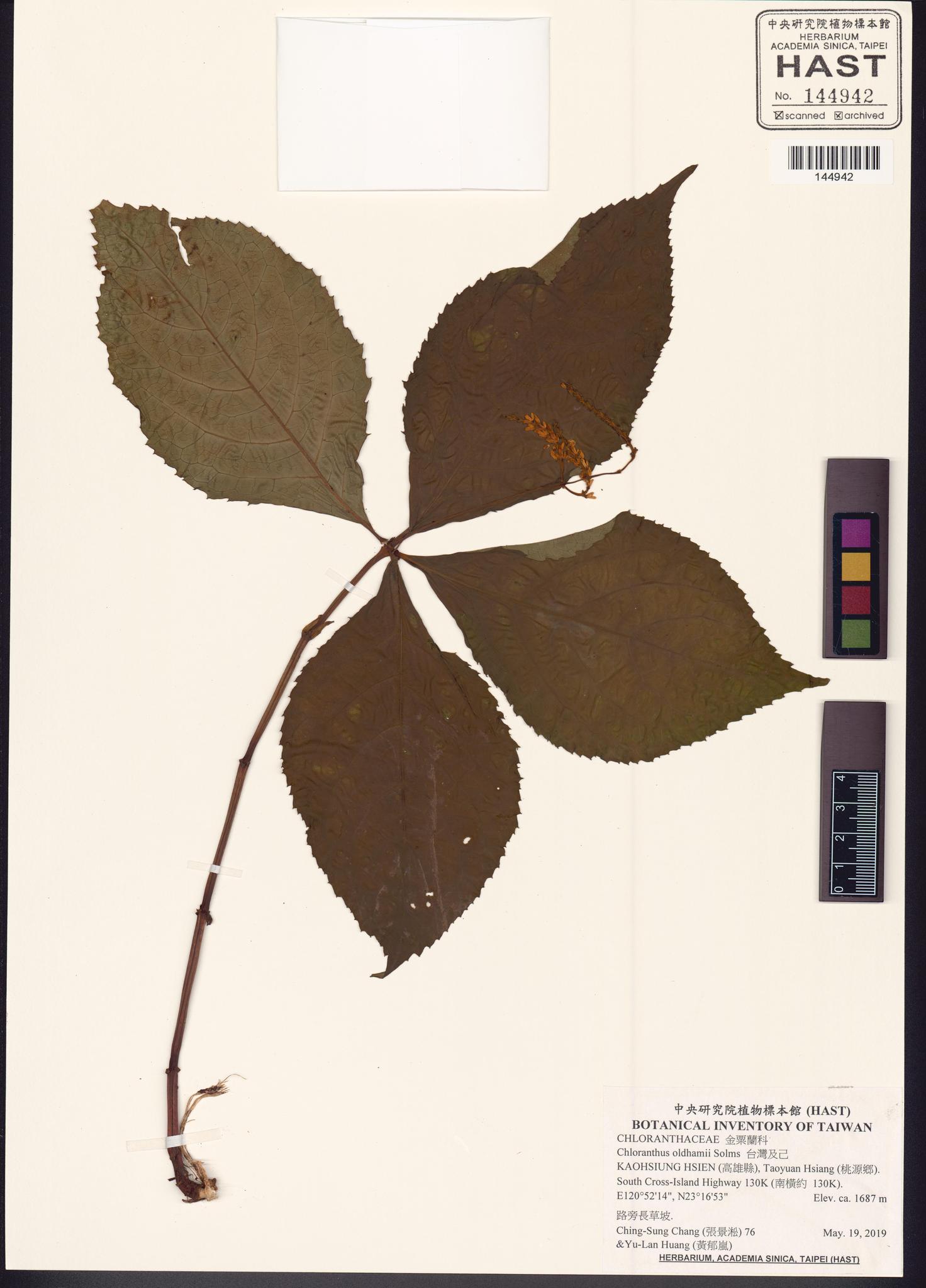 Sample image for viewer