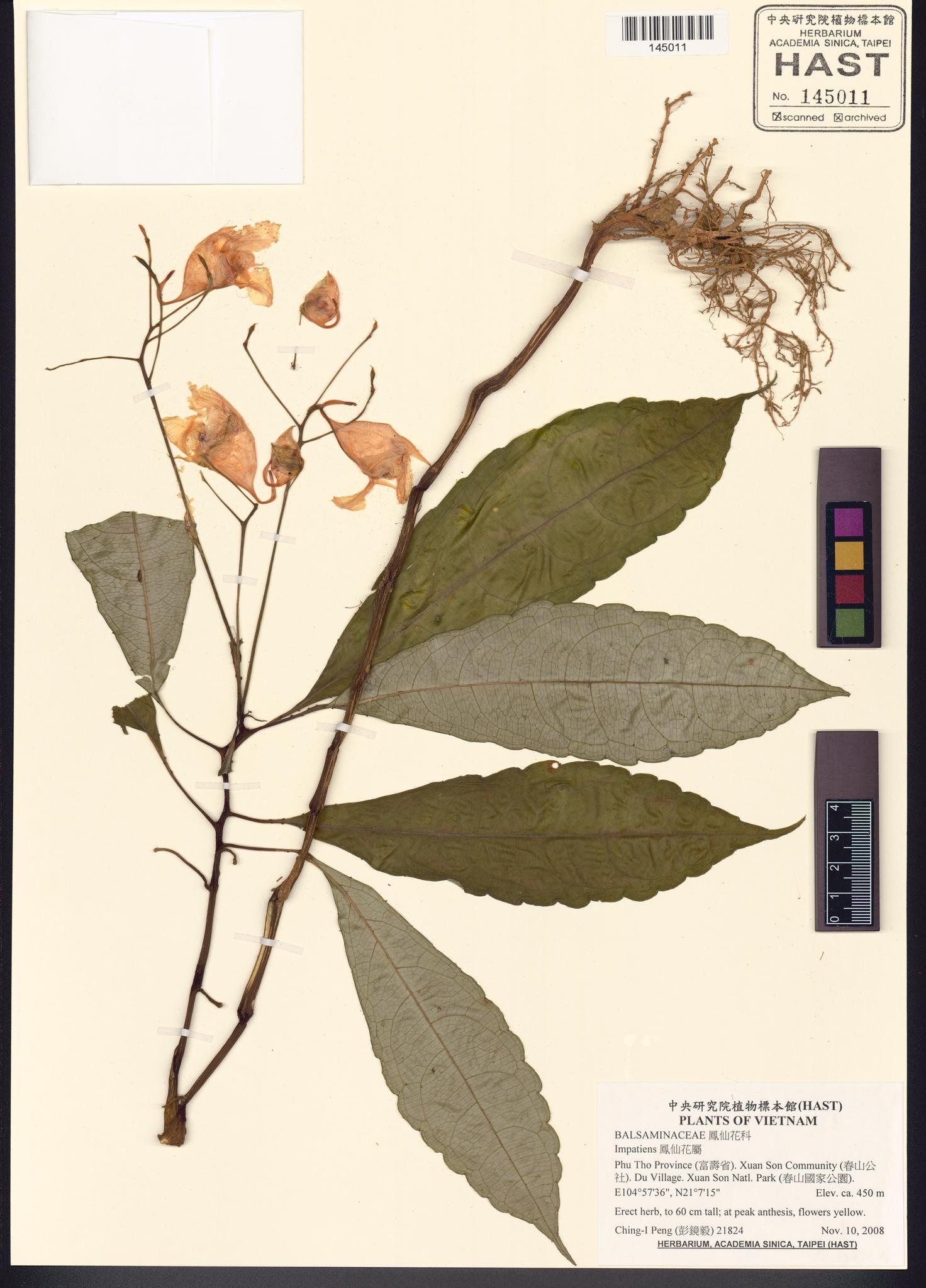 Sample image for viewer