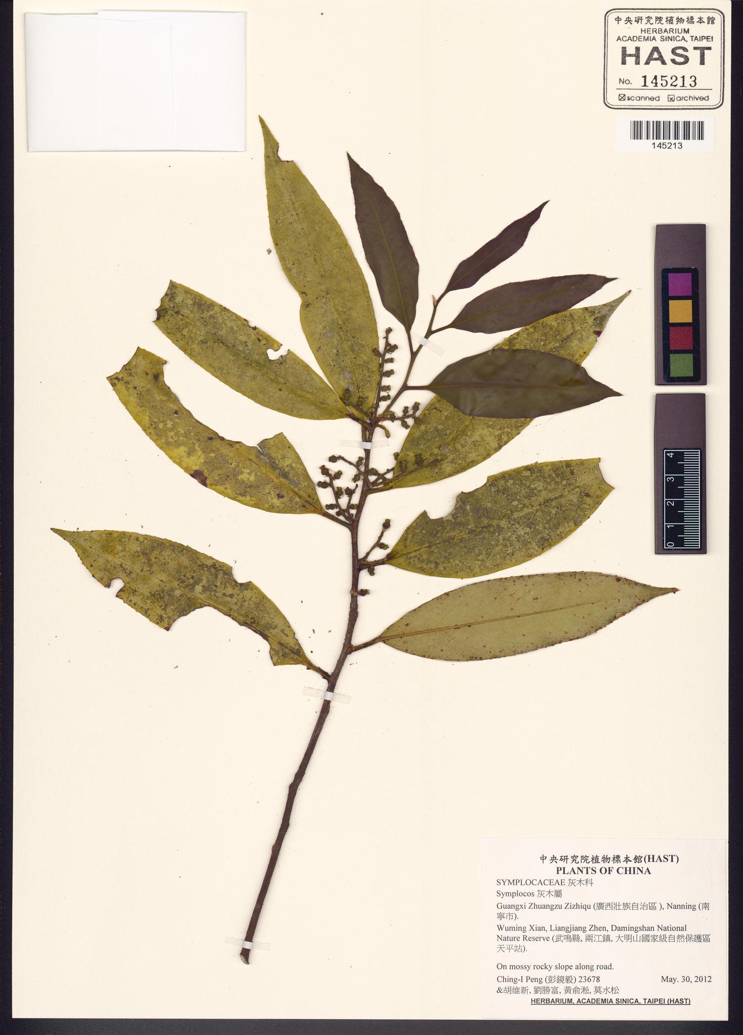 Specimen image