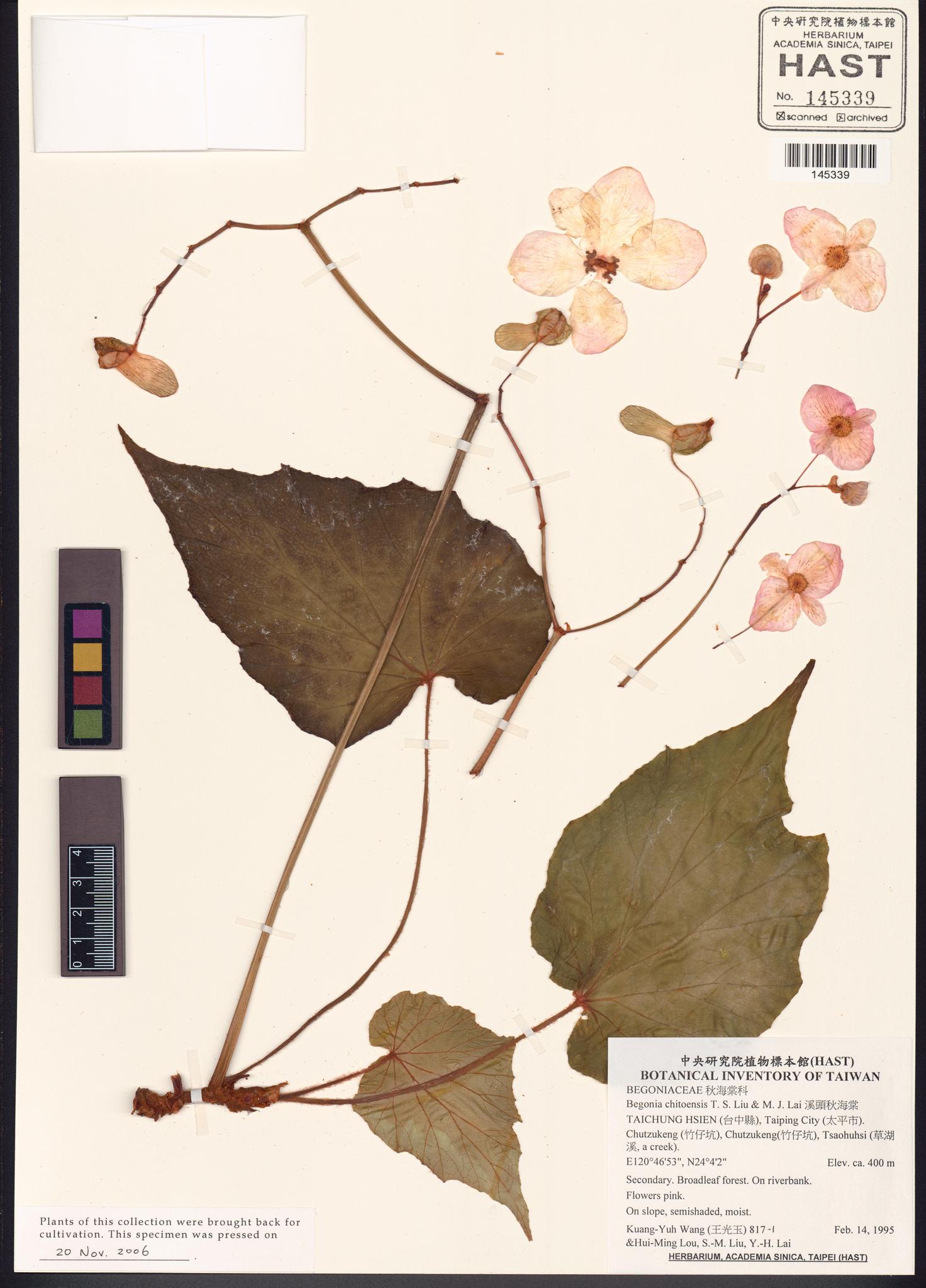 Sample image for viewer