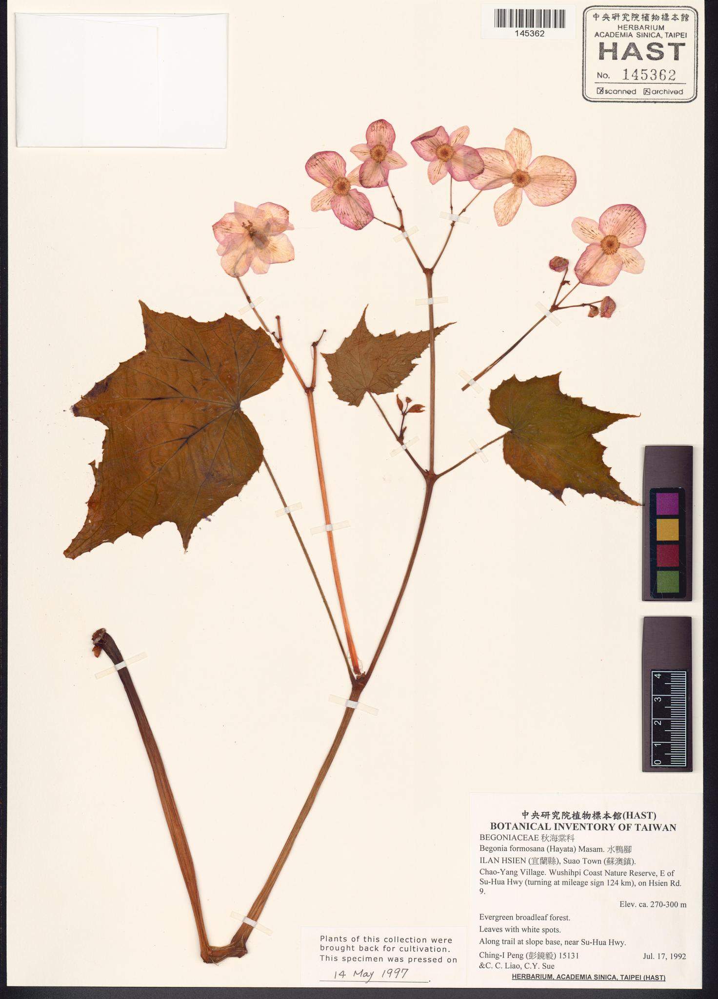 Sample image for viewer