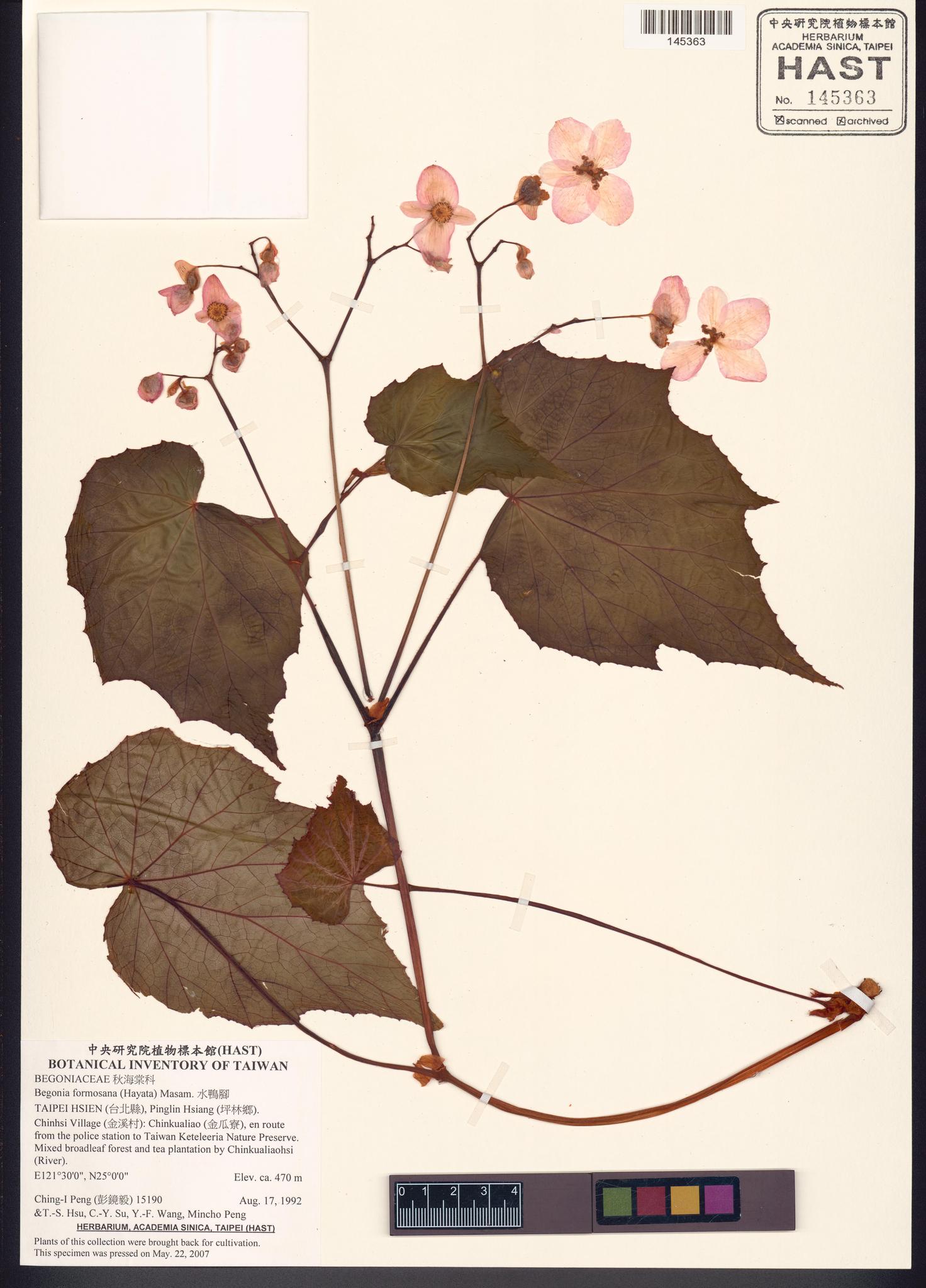 Sample image for viewer