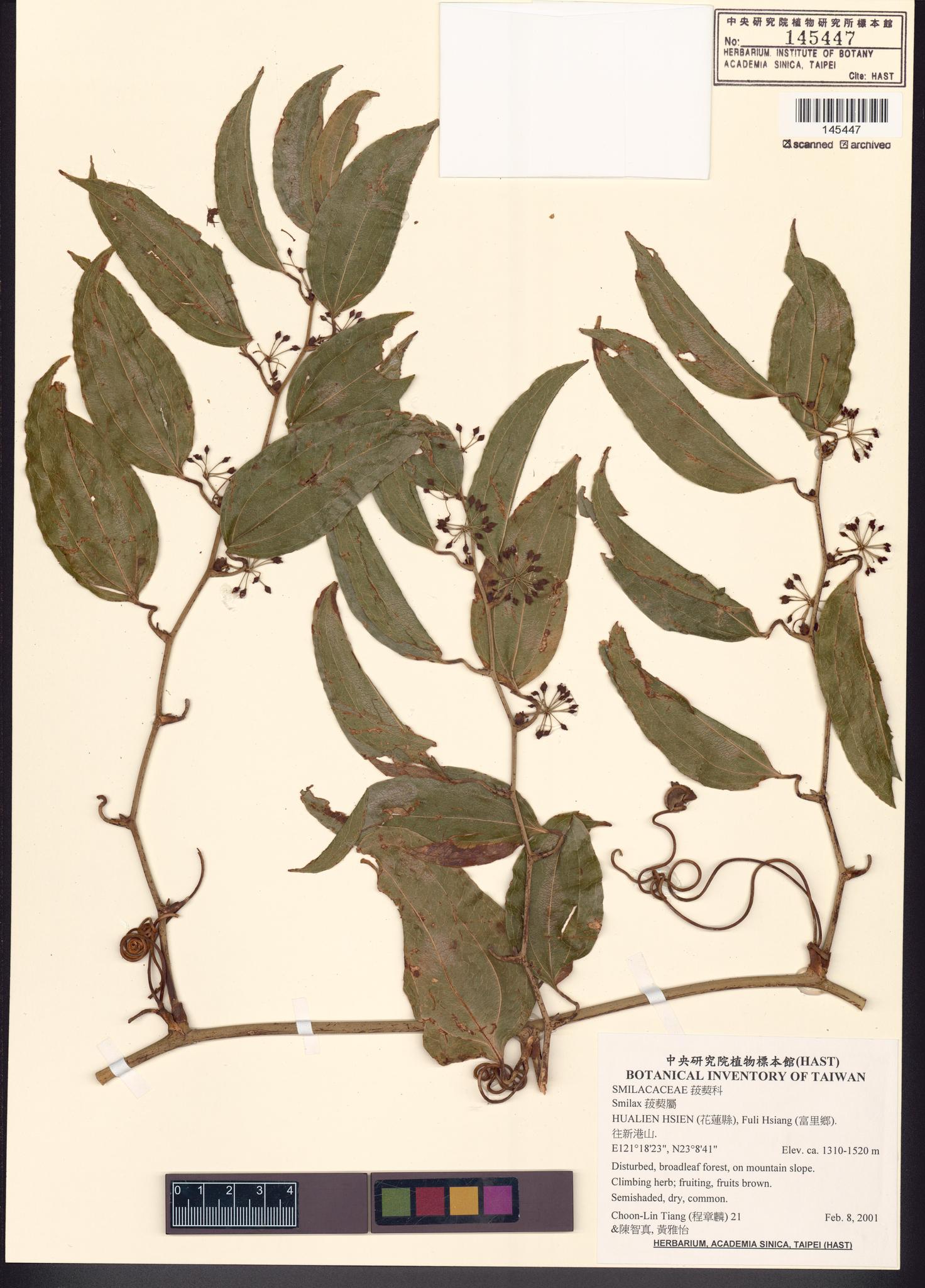 Sample image for viewer