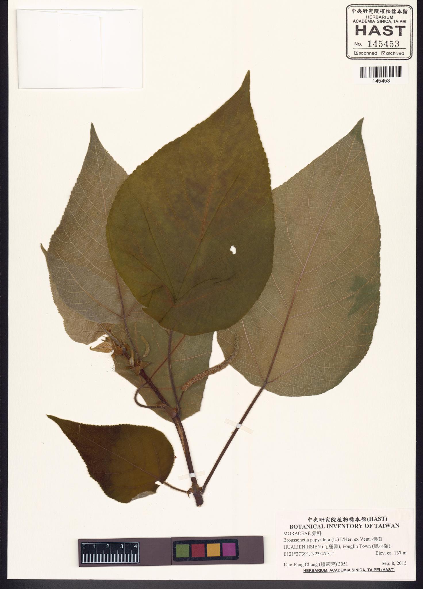 Sample image for viewer