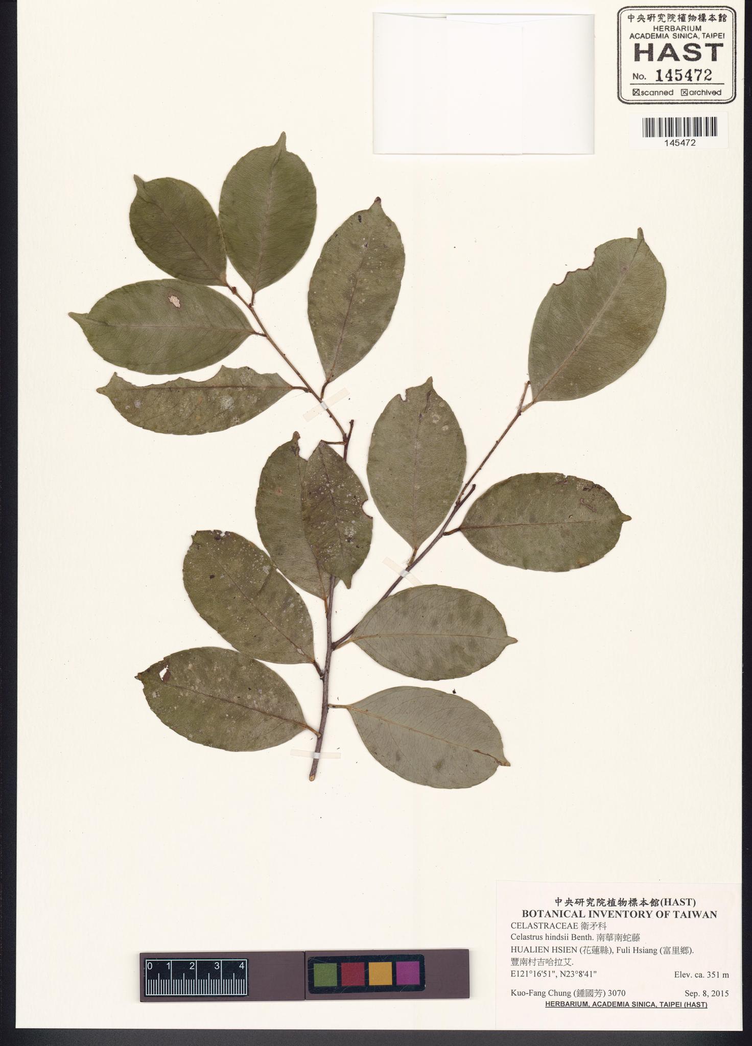 Sample image for viewer