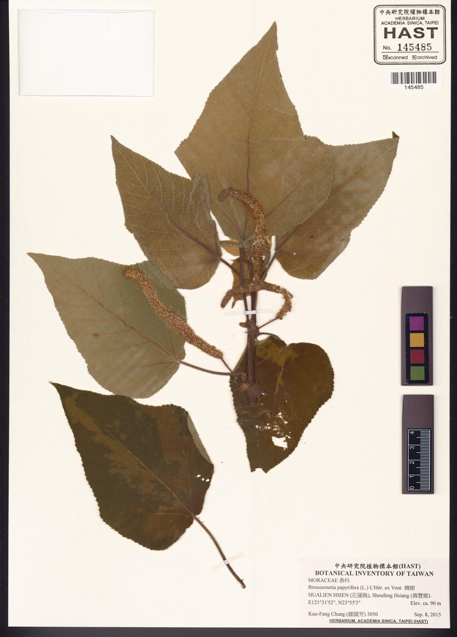 Sample image for viewer